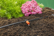 Picture of Gardena 13005-20 Micro Drip Planter rinkinys                                                                                                          